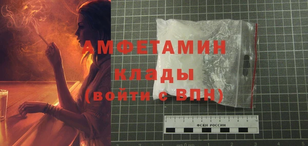 дживик Абаза